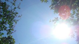 Agrandir l'image (fenêtre modale)