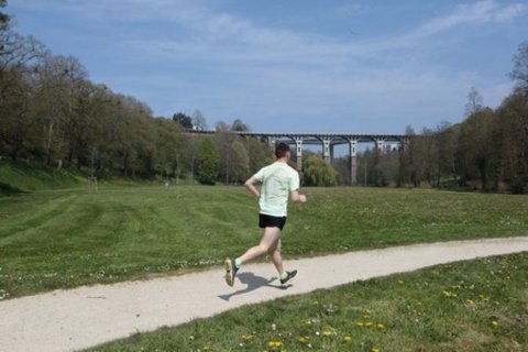Agrandir l'image, fenêtre modale
